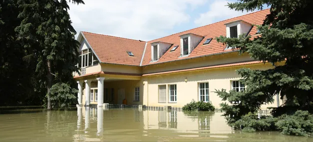 Washovia Services Picture 3