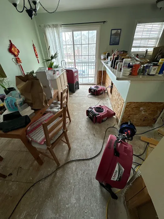 PuroClean of Ann Arbor Picture 4