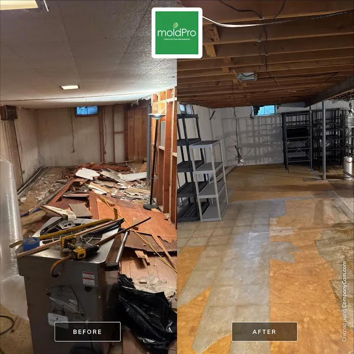 MoldPro LLC Picture 9