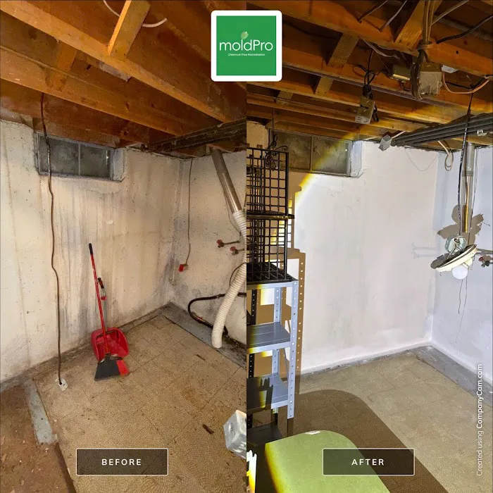 MoldPro LLC Picture 8