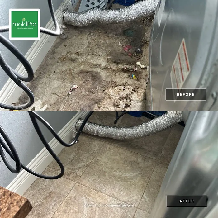 MoldPro LLC Picture 10