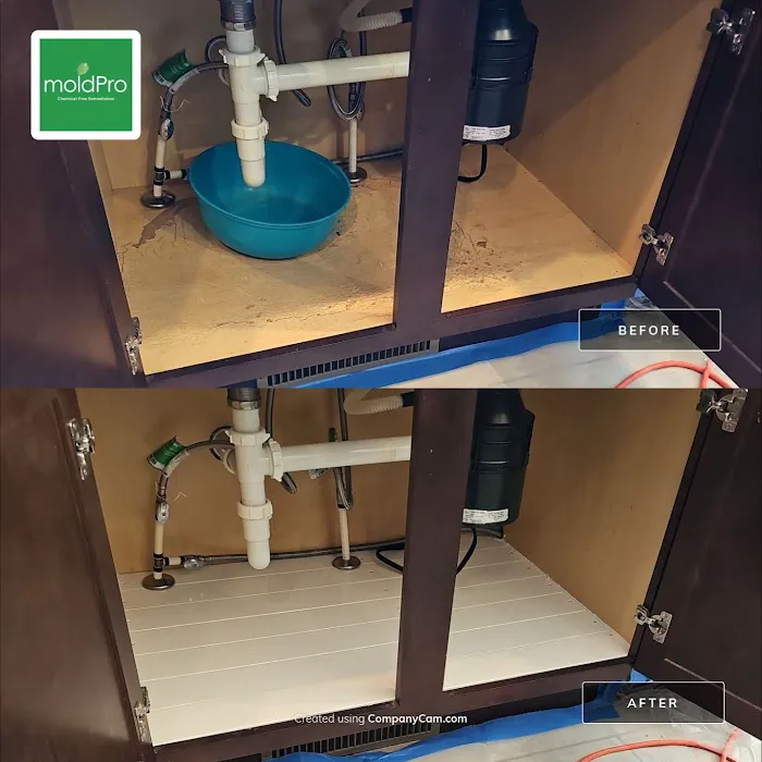 MoldPro LLC Picture 2