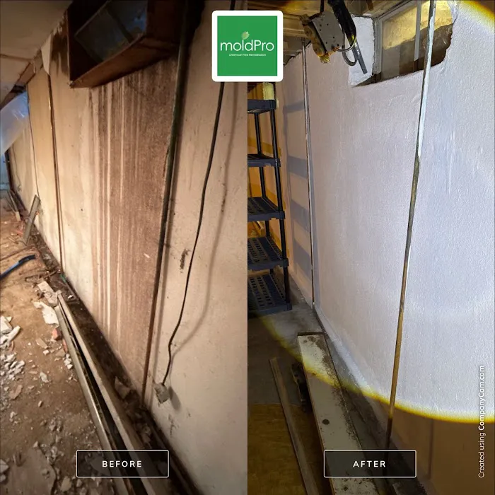 MoldPro LLC Picture 7