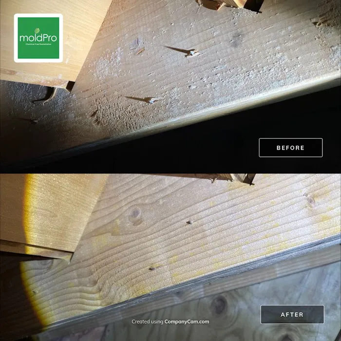 MoldPro LLC Picture 6