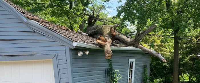 Adams Complete Cleaning & Restoration Picture 6