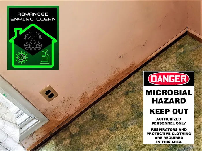 Advanced Enviro Clean Picture 8