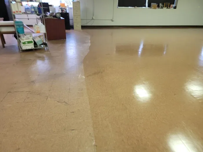 Feldpausch Cleaning Services Picture 9