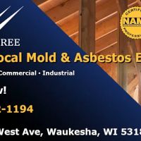 Wing Three & Mold ico