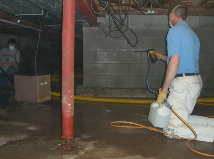 Flood Doctors Picture 9