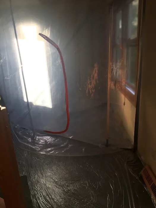 Cobak Mold Removal Solutions Picture 2