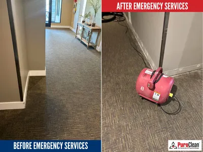 PuroClean of Waukesha/Brookfield Picture 1