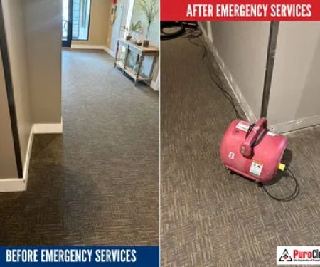 PuroClean of Waukesha/Brookfield