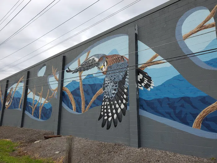 Kelmann Restoration Picture 3