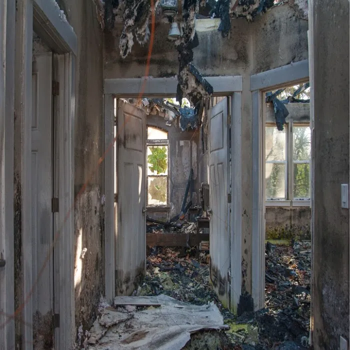 New Bizzle Smoke Damage Experts Picture 1