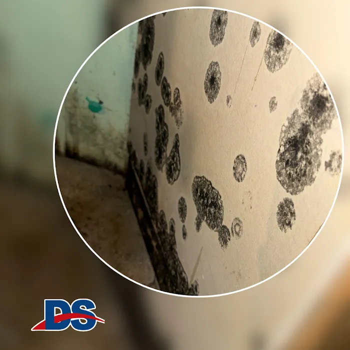 Dry Source Property Restoration Picture 10