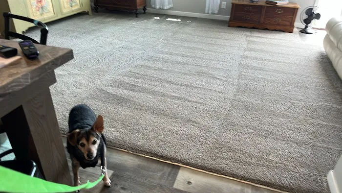 Pro-Master Cleaning & Restoration Picture 2