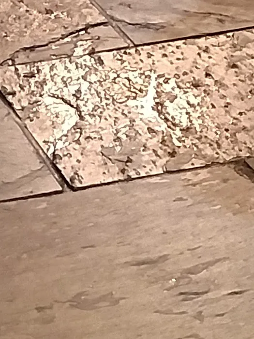 Stanley Steemer Picture 5