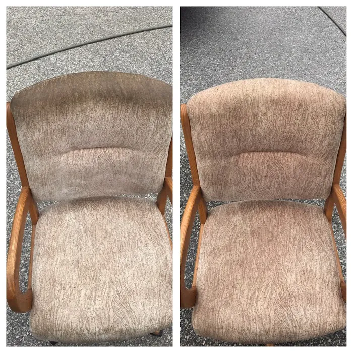 Stanley Steemer Picture 8