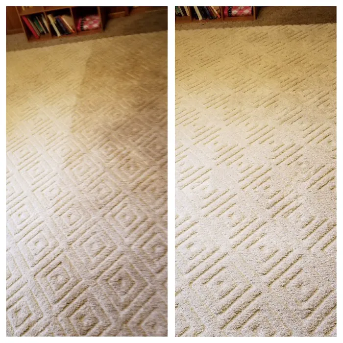 Stanley Steemer Picture 4