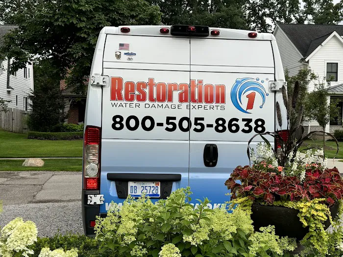 Restoration 1 of Metro Detroit Picture 7