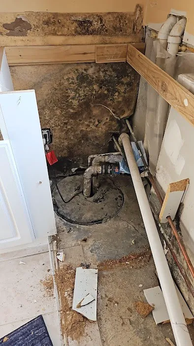 Restoration 1 of Metro Detroit Picture 5