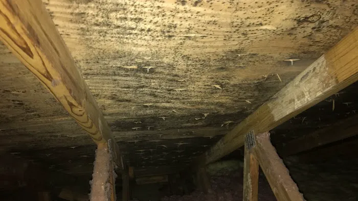 Watermark Restoration Solutions, Inc. Picture 5