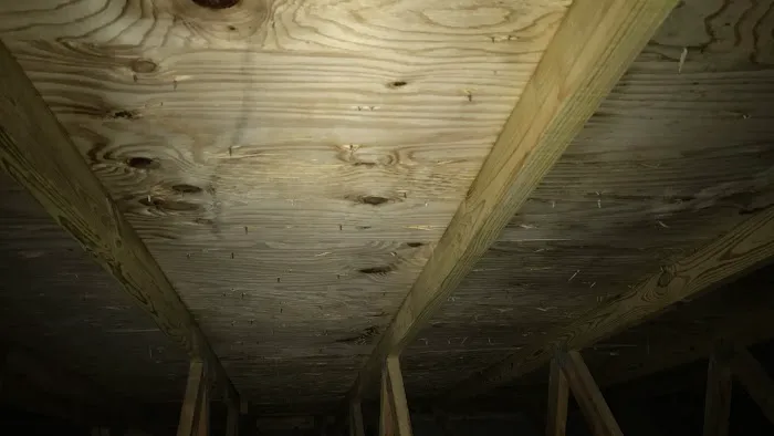 Watermark Restoration Solutions, Inc. Picture 1