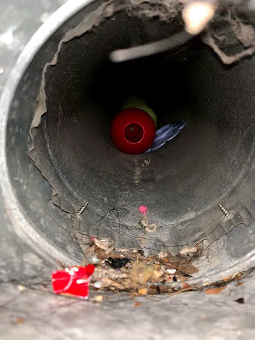 Steves Air Duct Carpet Cleaning Picture 6