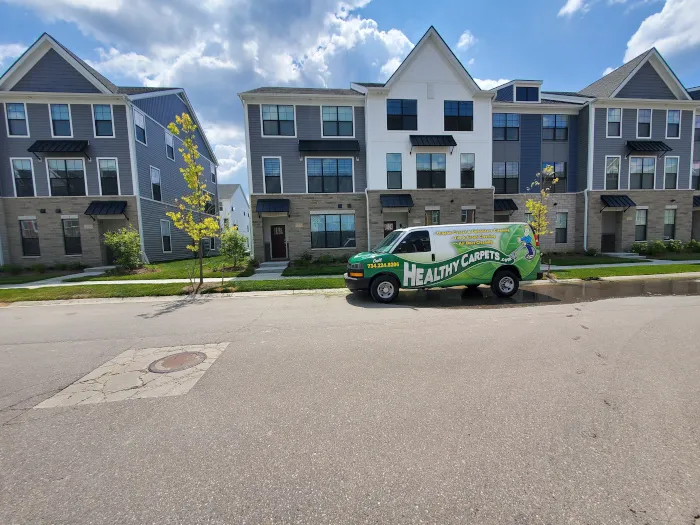 Healthy Carpets Picture 3