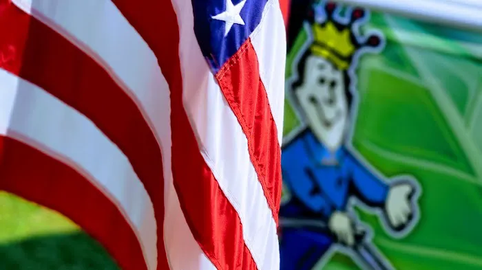 Healthy Carpets Picture 1