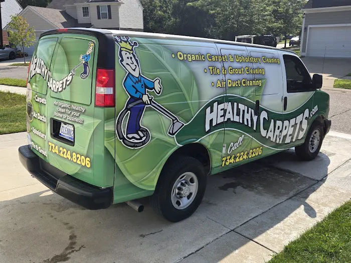 Healthy Carpets Picture 2