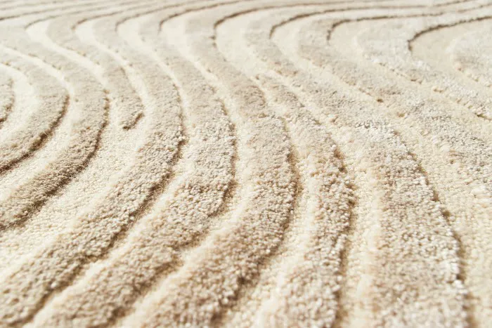 Healthy Carpets Picture 8