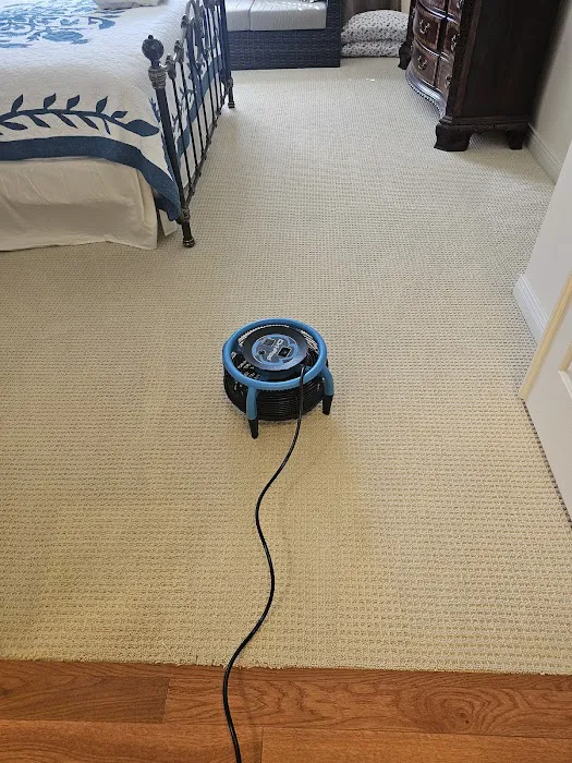 Healthy Carpets Picture 9