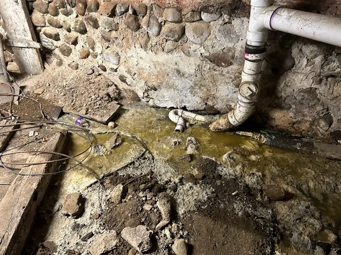 Atlas Restoration & Cleaning LLC Picture 4