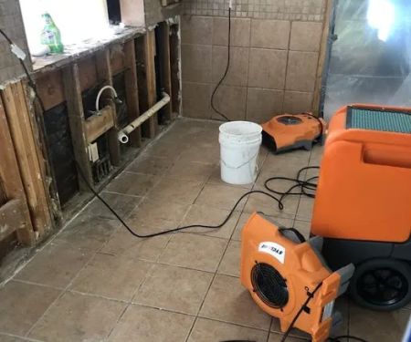 911 Restoration of Metro Detroit