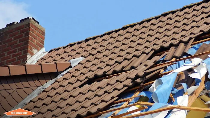 SERVPRO of Carleton/Maybee Picture 4