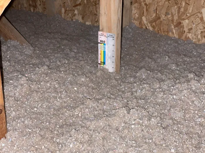 TCI Remediation Picture 1