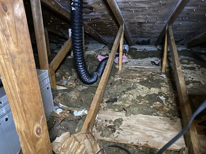 TCI Remediation Picture 2