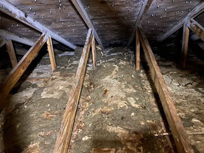 TCI Remediation Picture 5