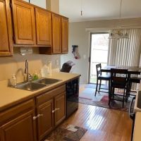 Zion Restoration US ico