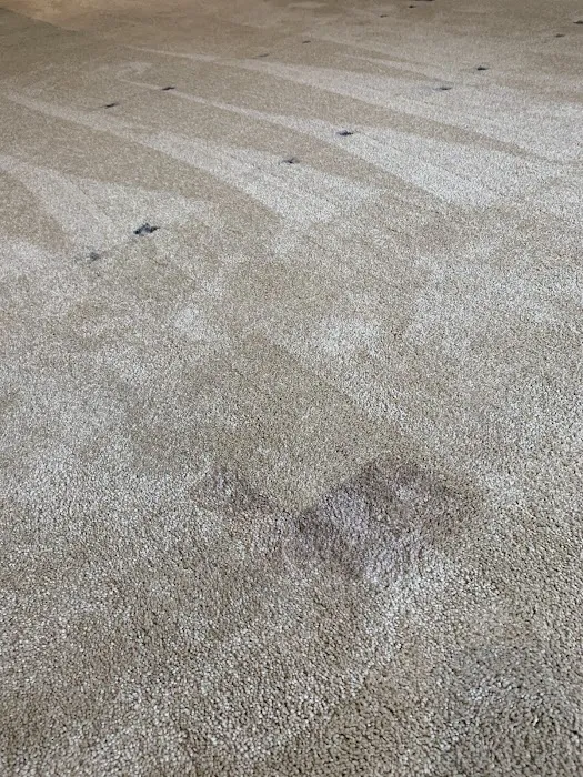 Greener Method Cleaning & Restoration Services Picture 4