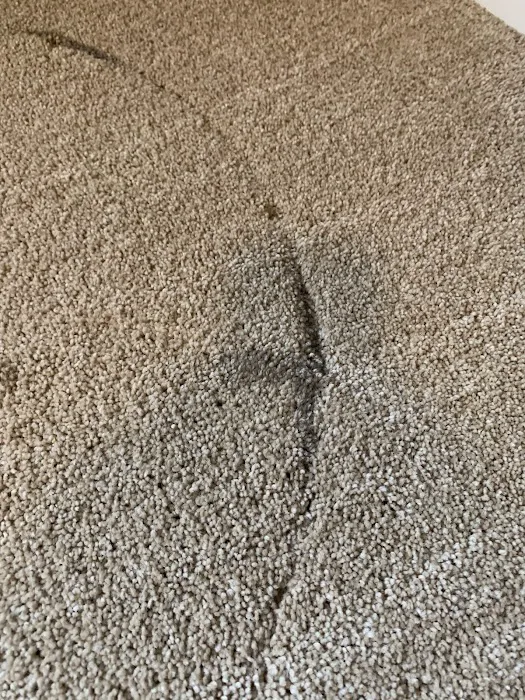 Greener Method Cleaning & Restoration Services Picture 6