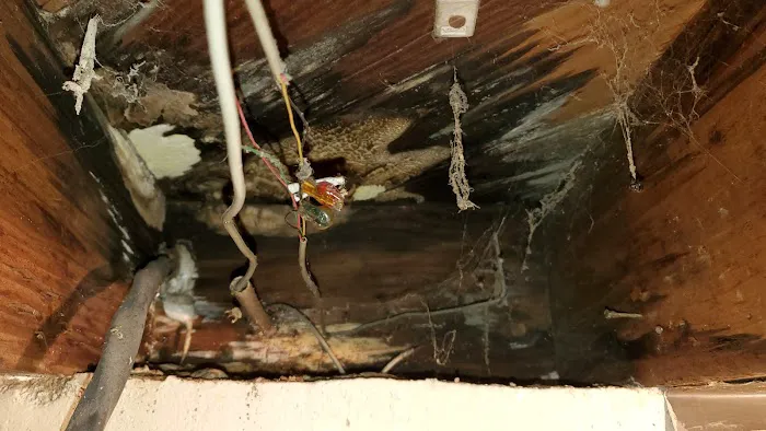 PuroClean of Canton Picture 8