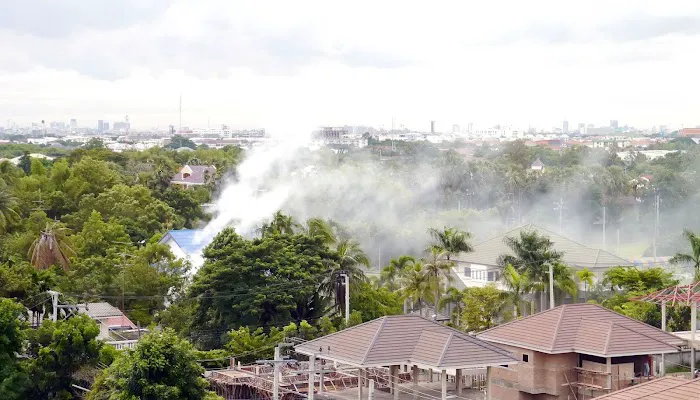 Great White Smoke Damage Co. Picture 5