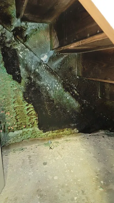 Bio Star Services Picture 4