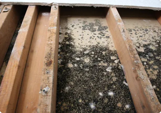 Decker Water Damage Restoration Picture 5