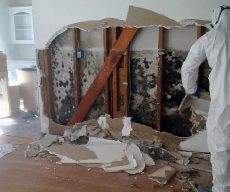 Platinum Restoration Services,LLC