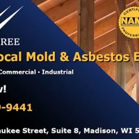 Wing Three Asbestos & Mold ico