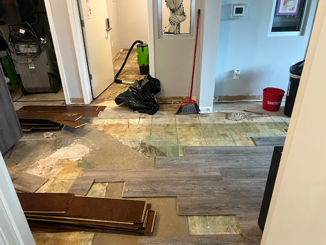 SERVPRO of Madison, WI Picture 1