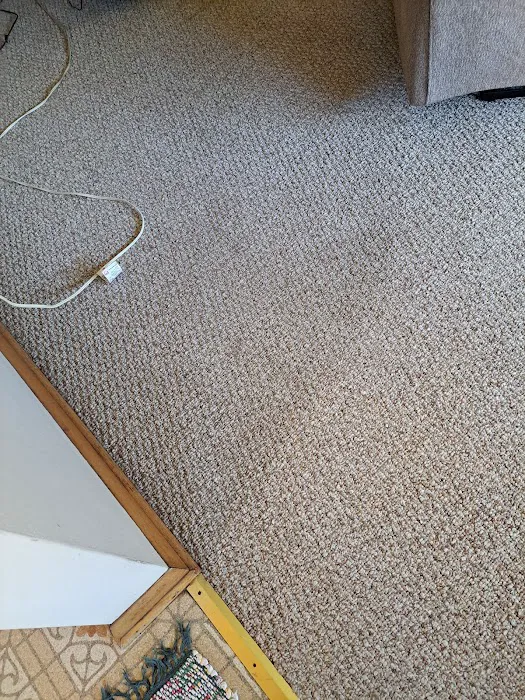 Stanley Steemer Picture 3